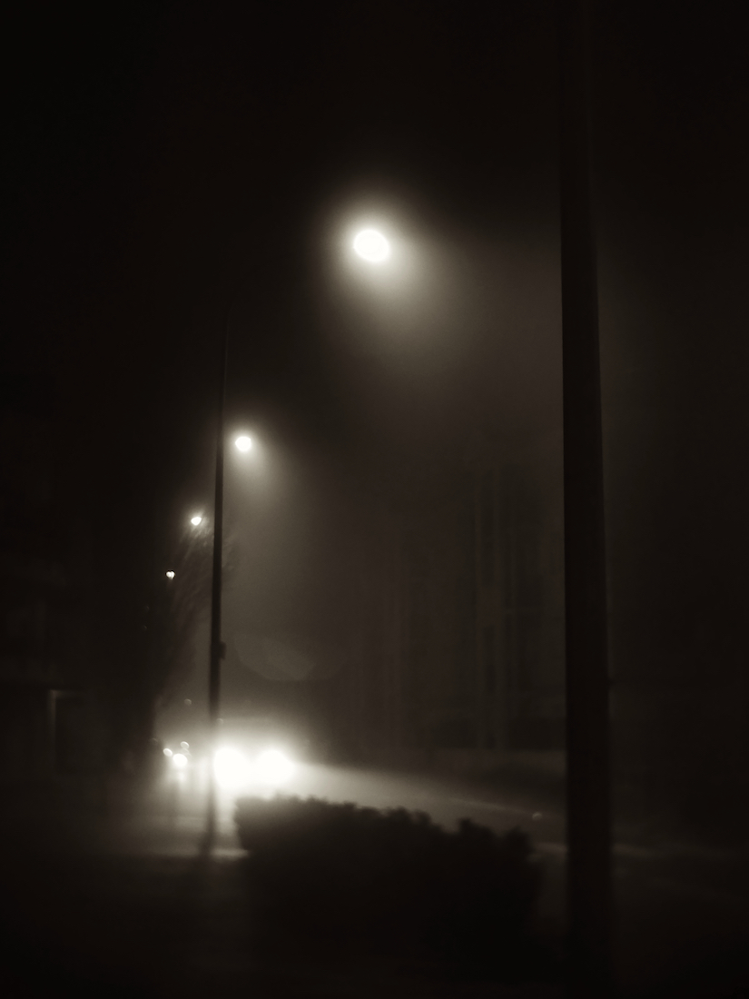 Walk in the fog