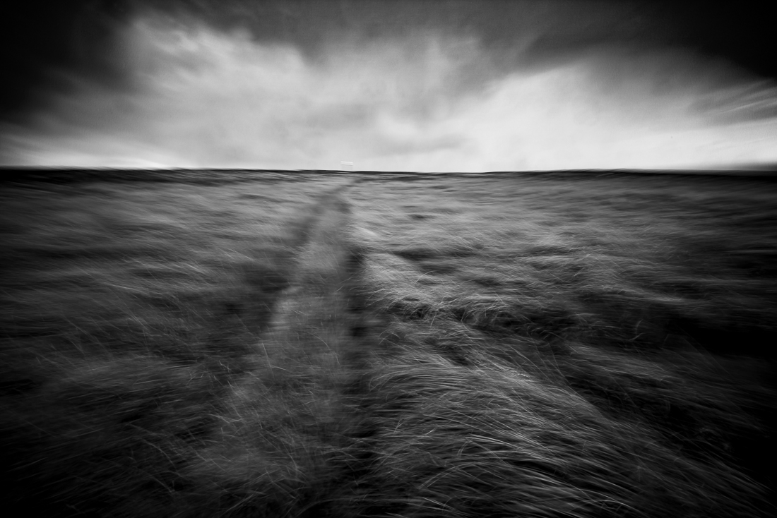 Lundy