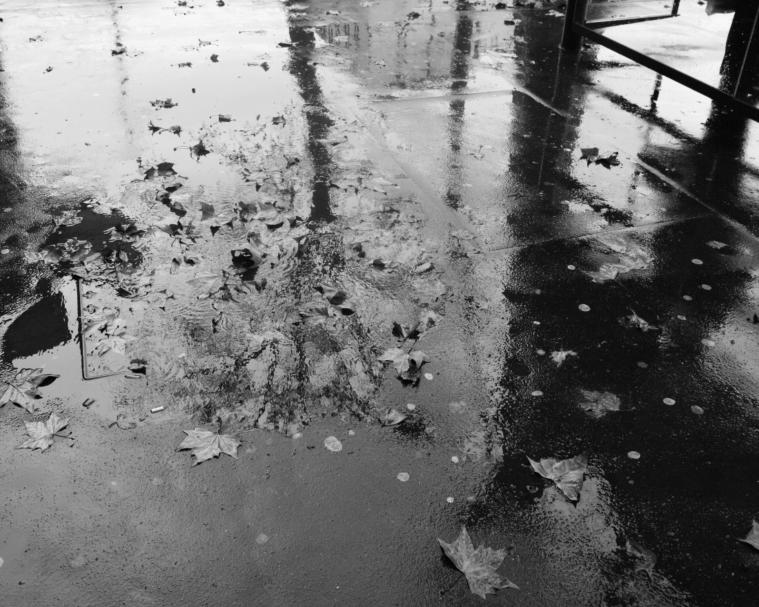 Grounds