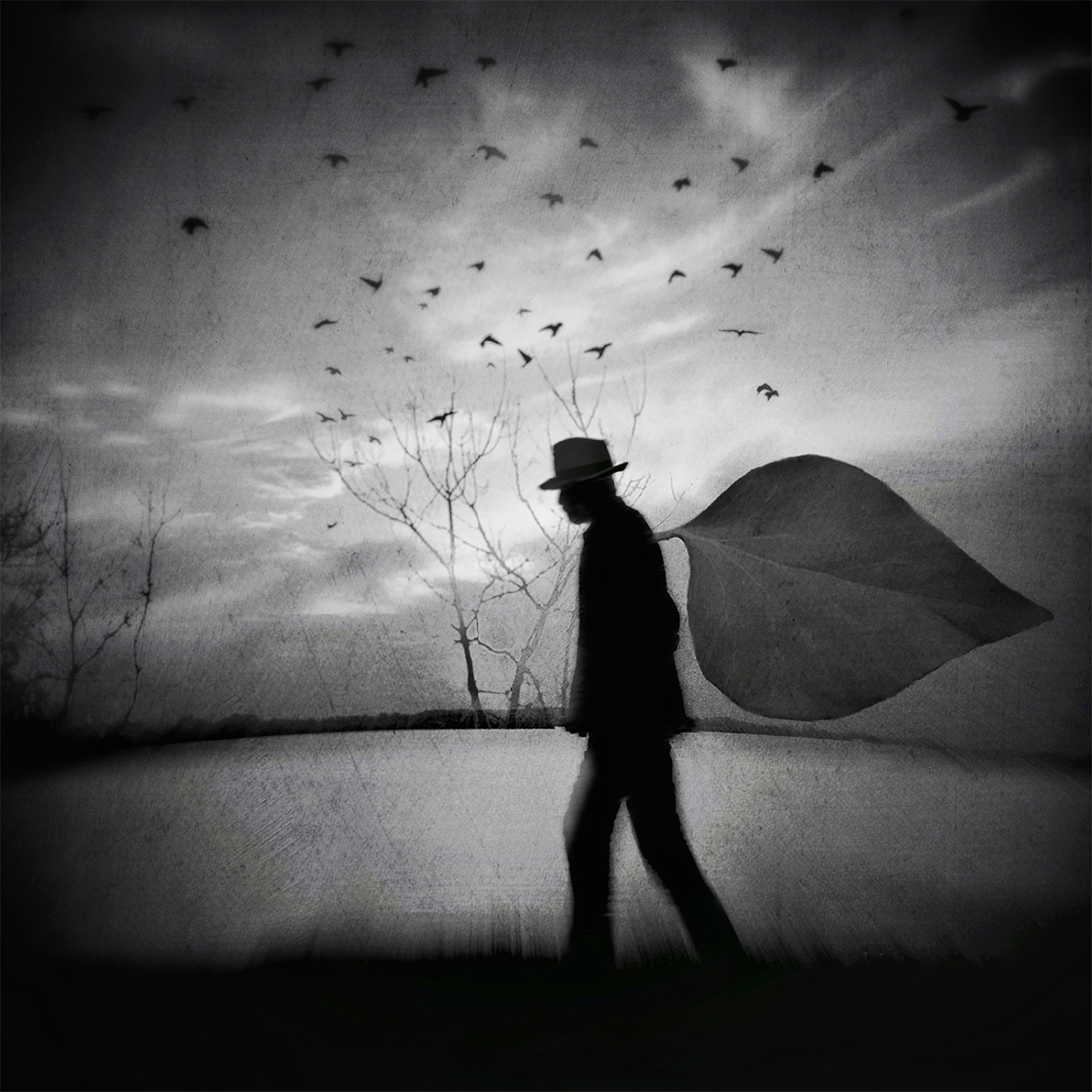 Loneliness
