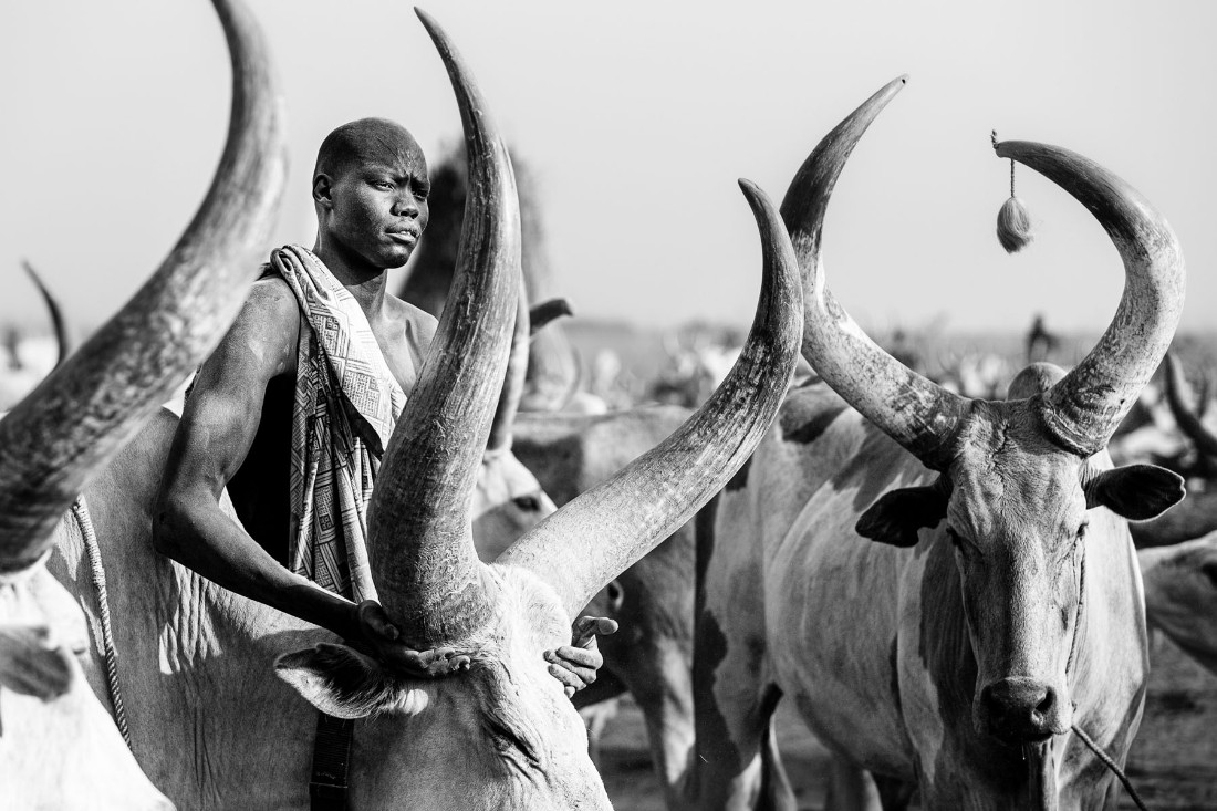 The Mundari