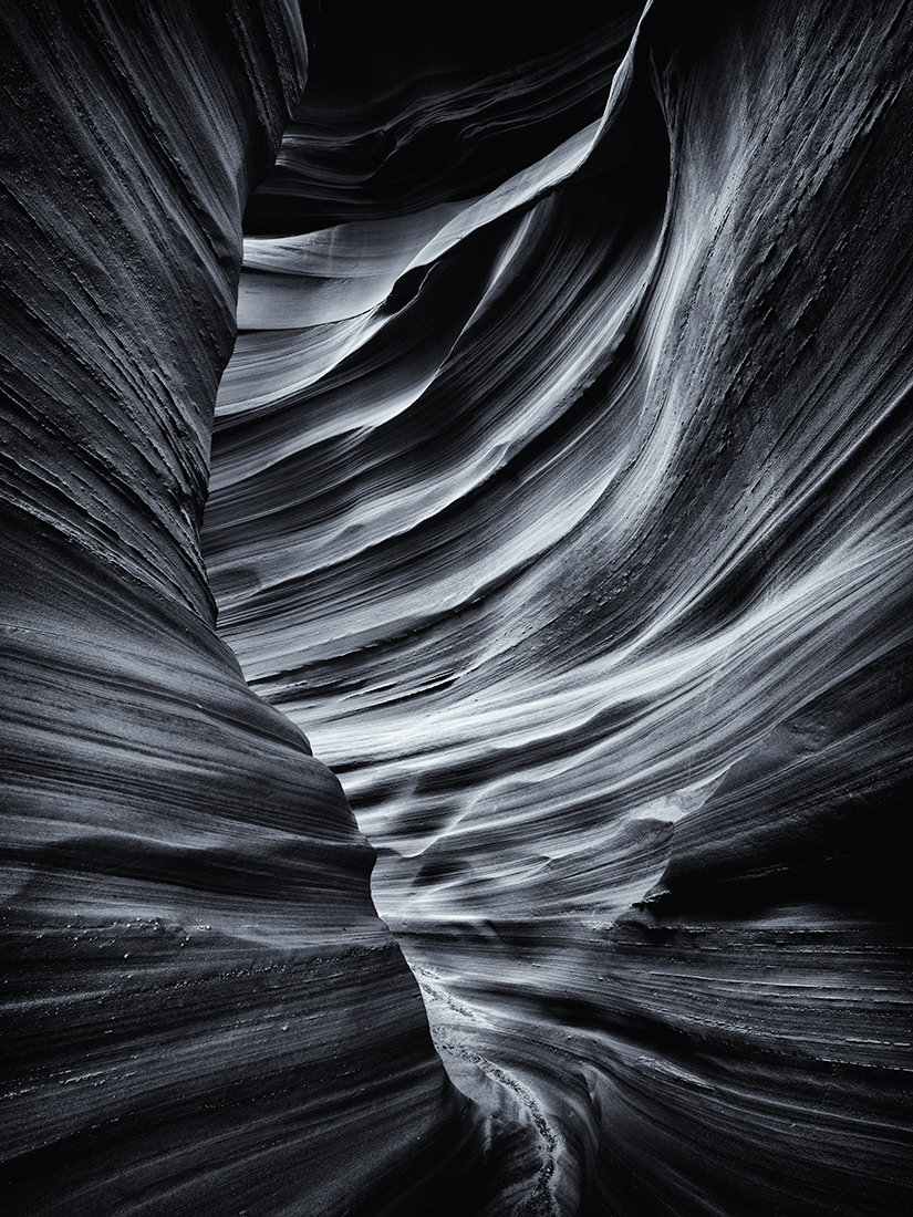 The Wave