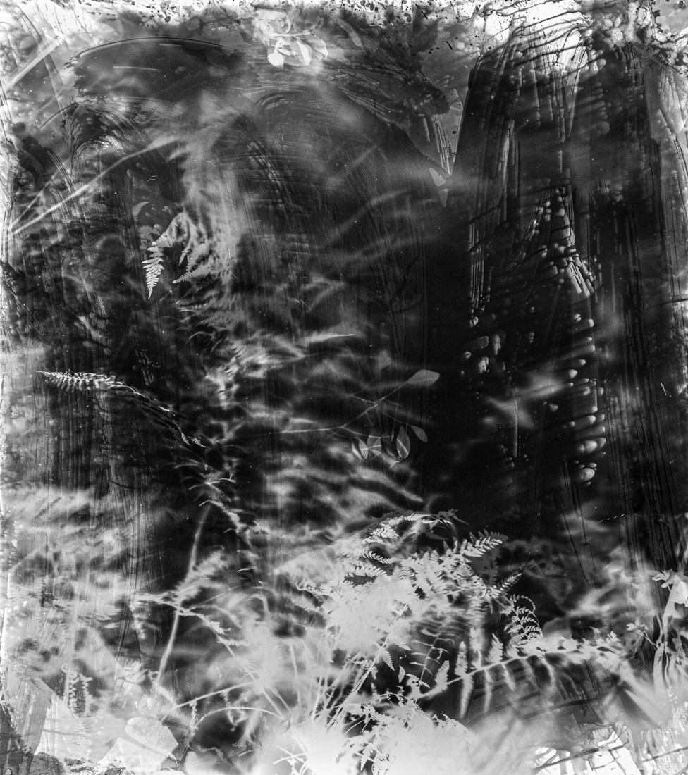 Inner Landscapes