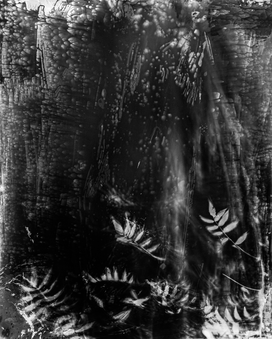 Inner Landscapes