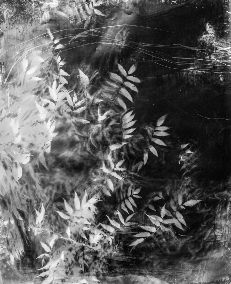 Inner Landscapes