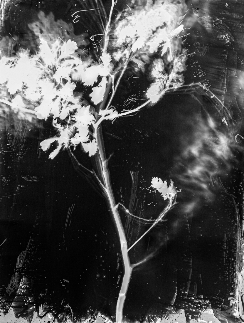 Inner Landscapes