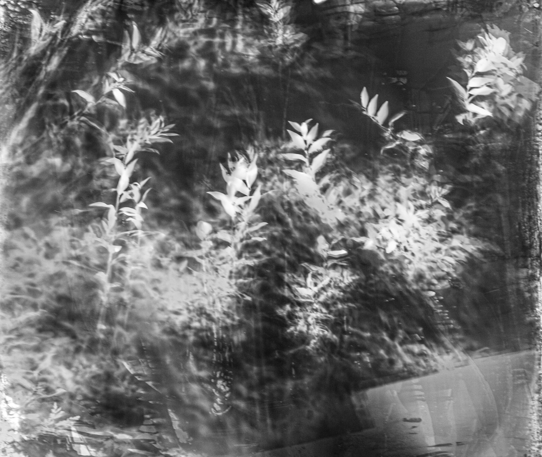 Inner Landscapes