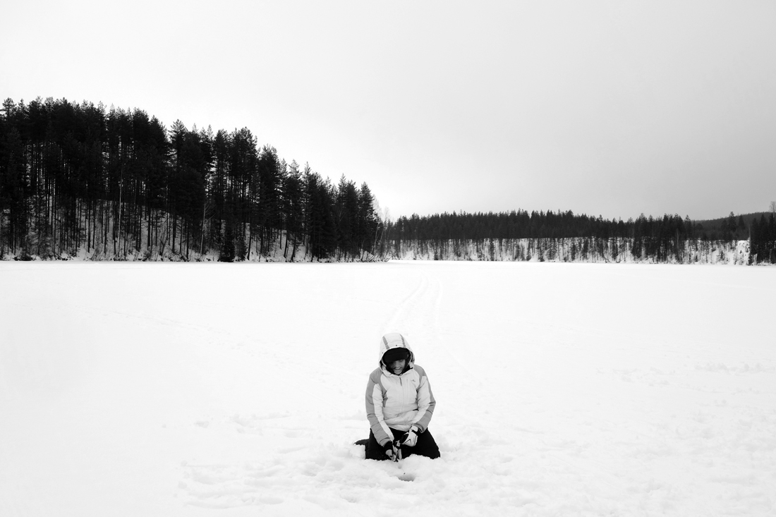 The White Forest 