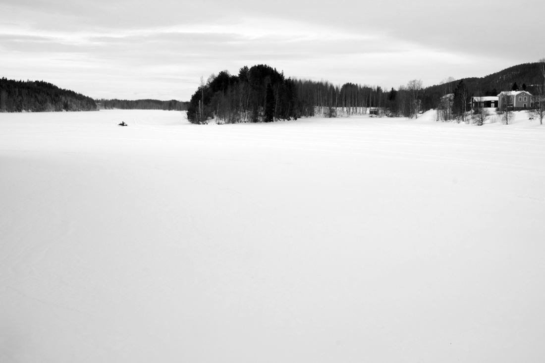 The White Forest 