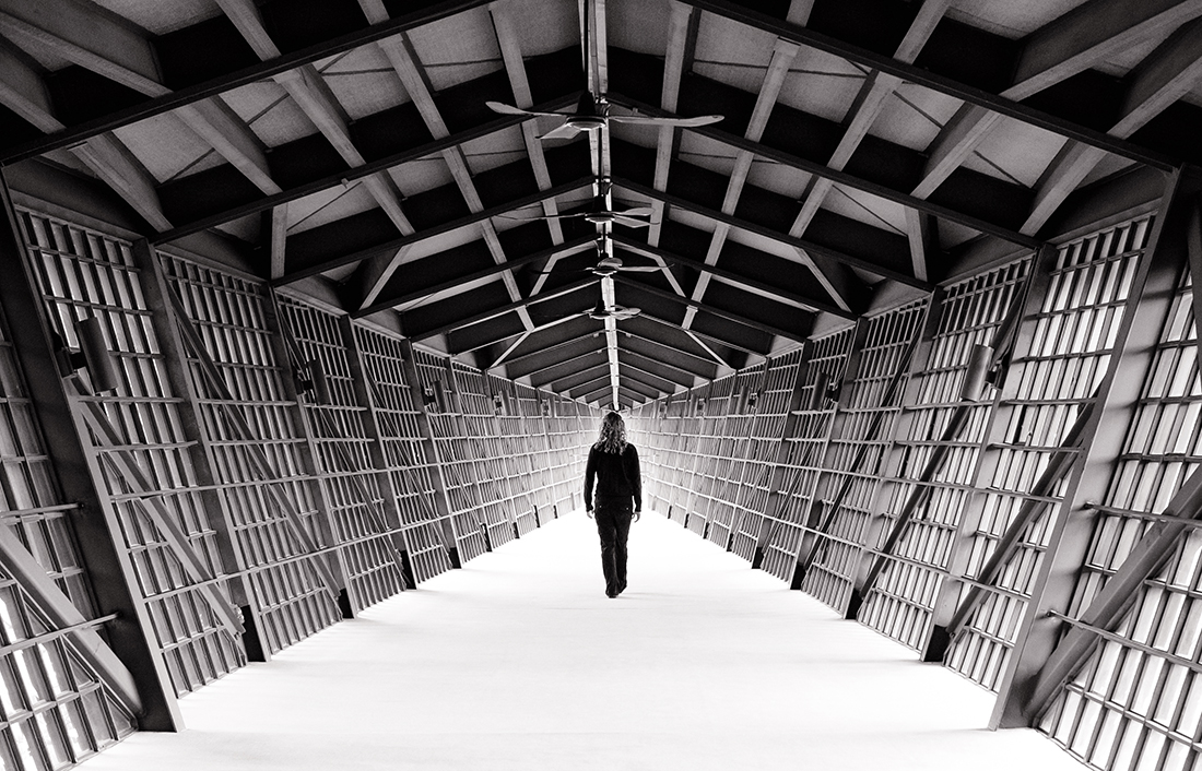 Toward the Light