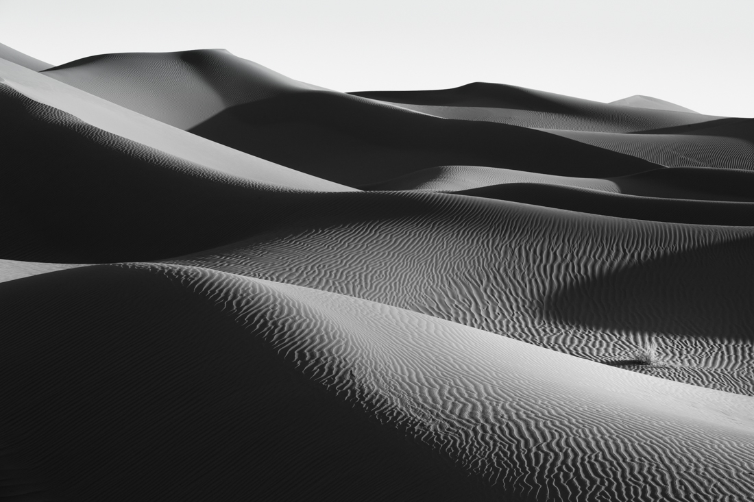 Dune