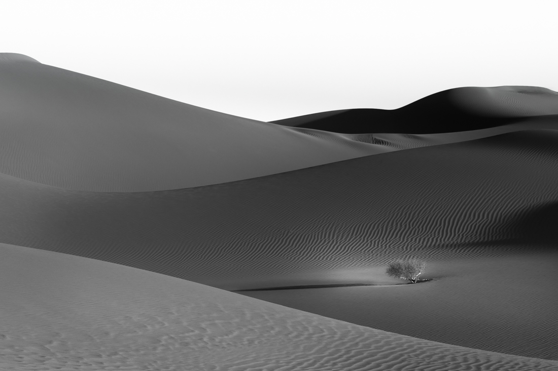 Dune