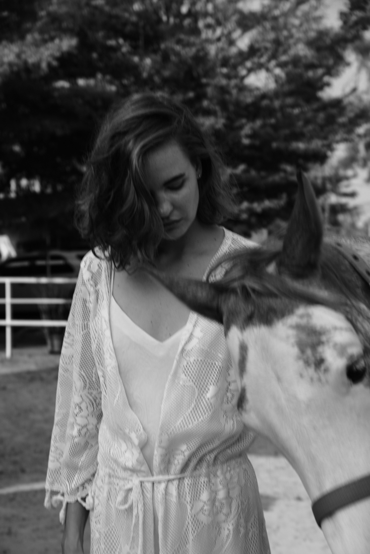 Lady's Horse