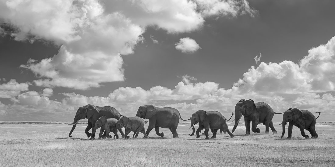 Rush Hour...