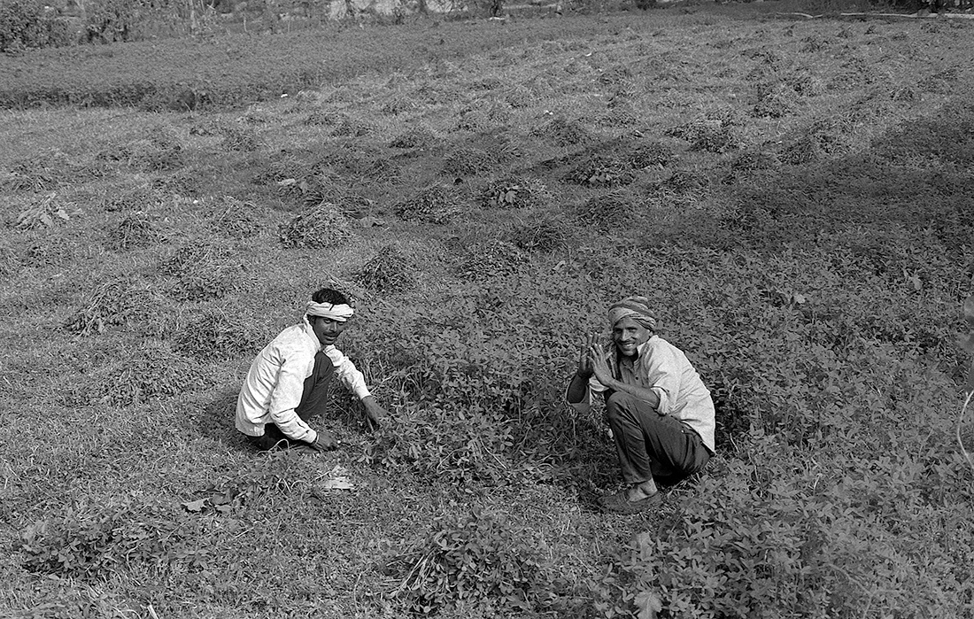Northen India workers