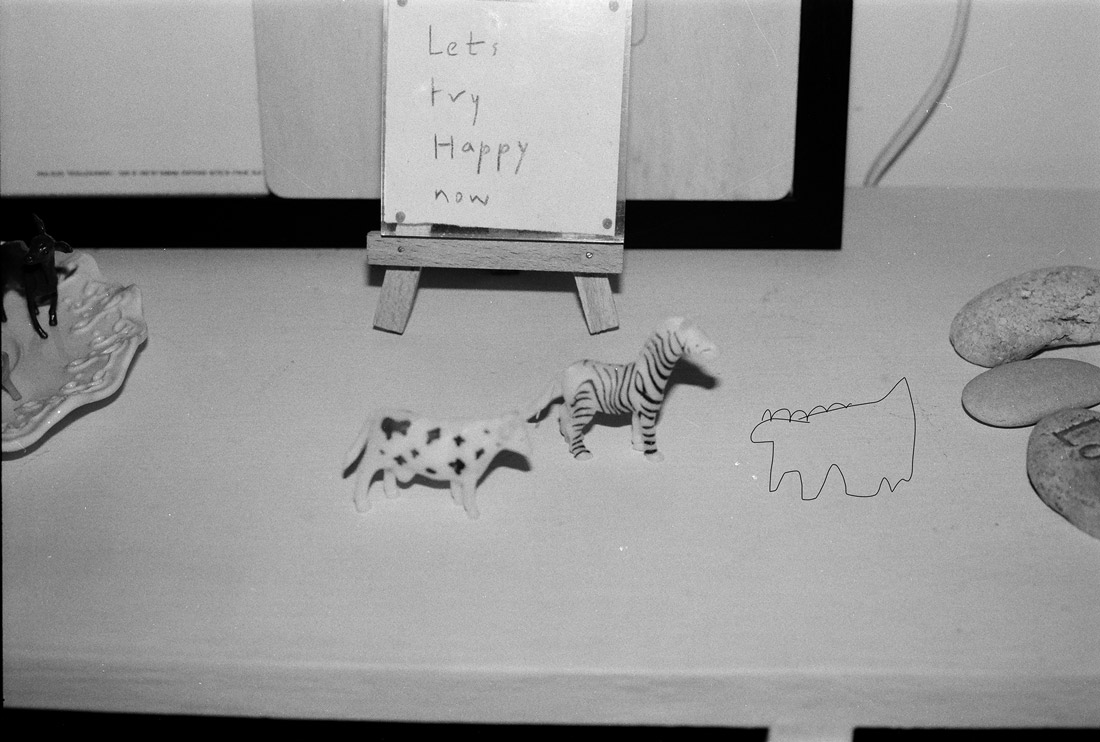 appa and other animals 