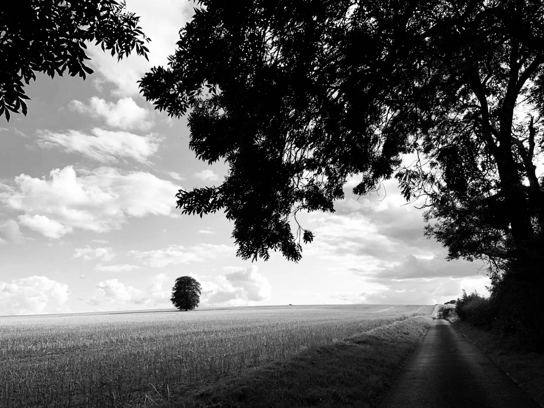 loneliness