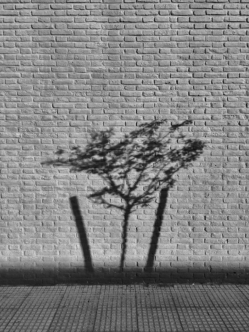 HOUSES MARKED BY THE SUN