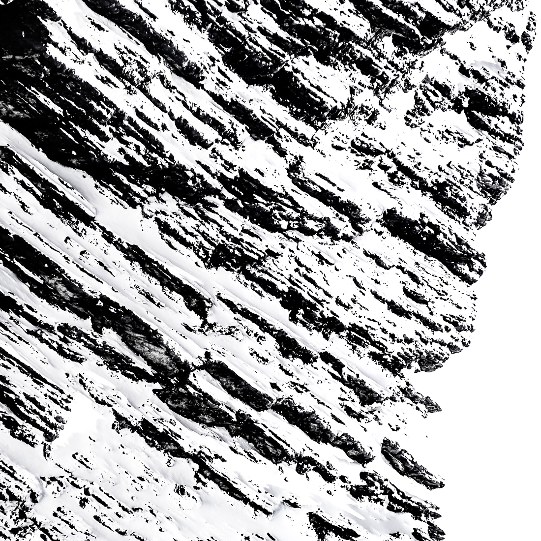 Winter's Ink Wash