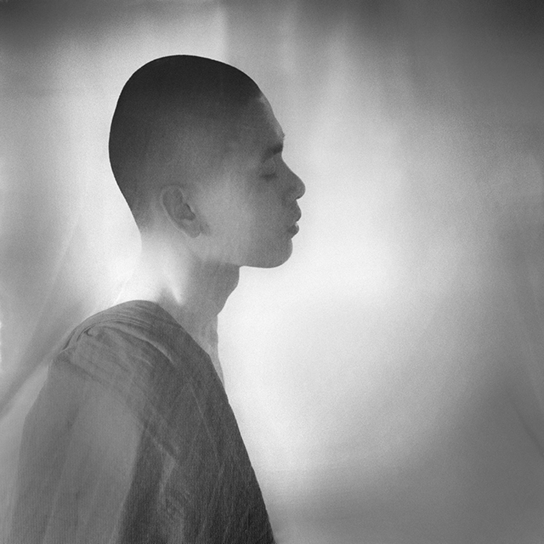 Seeking Enlightenment - The Mosquito Nets