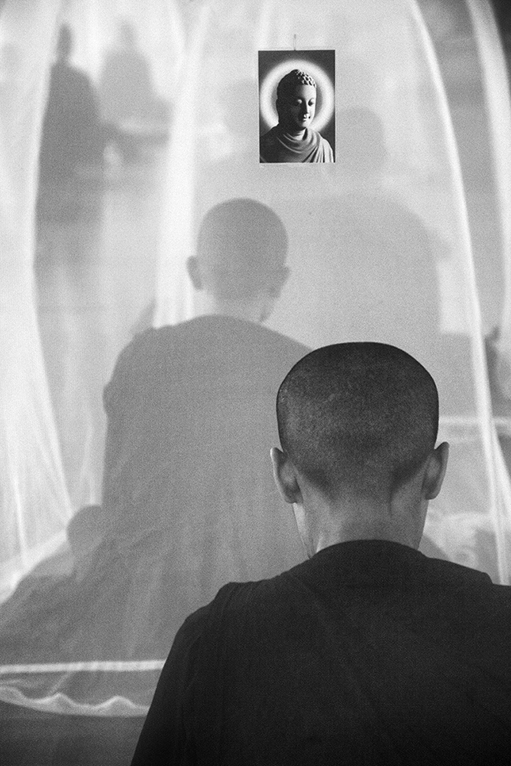 Seeking Enlightenment - The Mosquito Nets