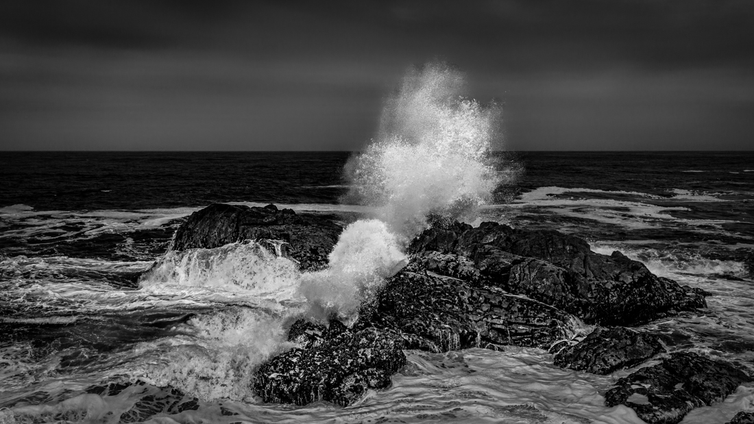 The Portuguese fishermen