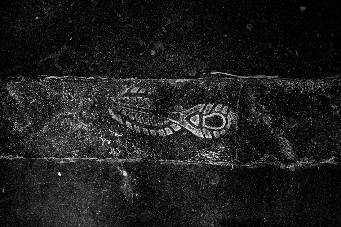 Paris On The Ground