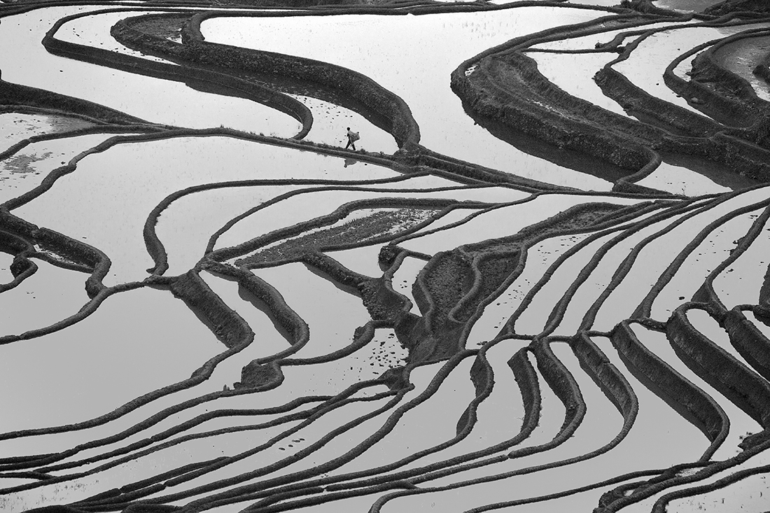 Man in a Chinese Character