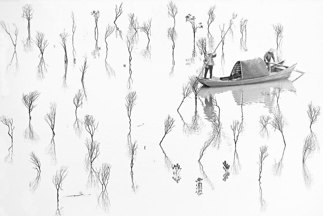 Fishermen of the Mangrove Swamp