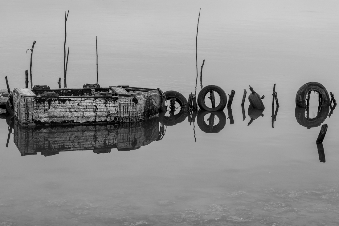 Island of Resilience
