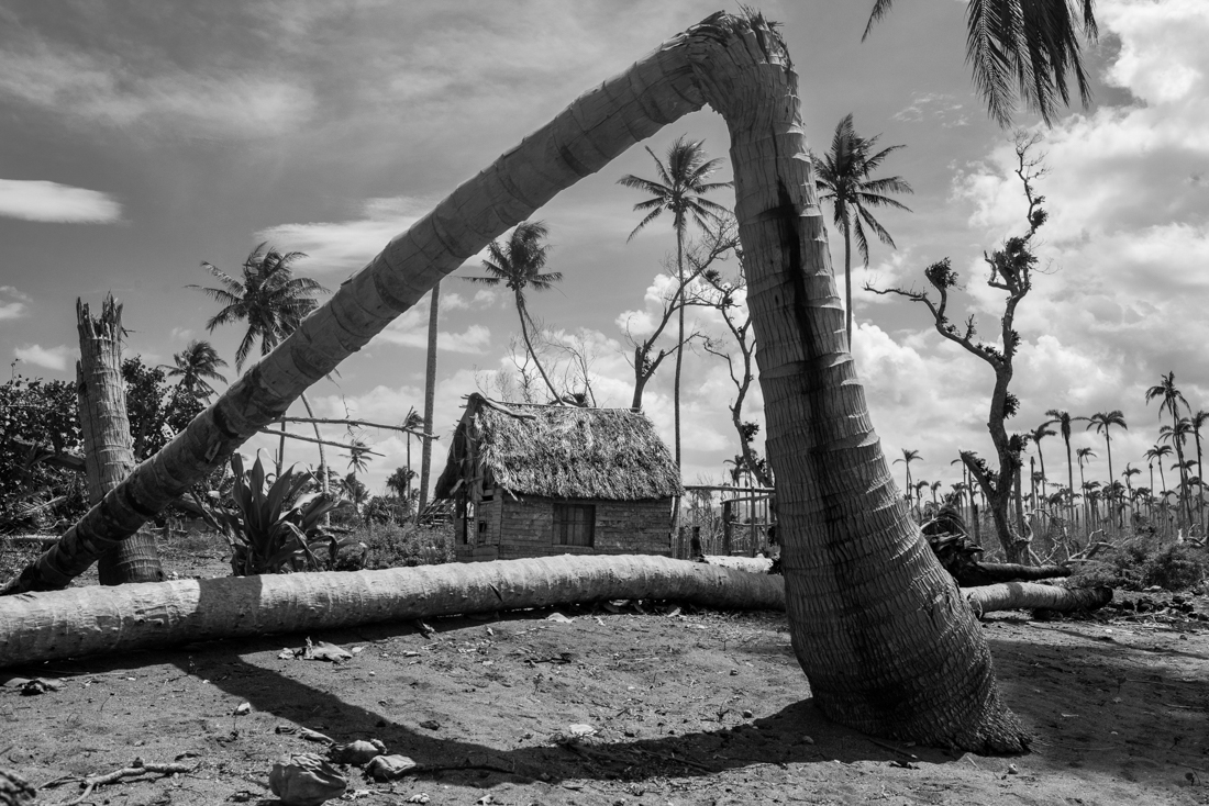 Island of Resilience