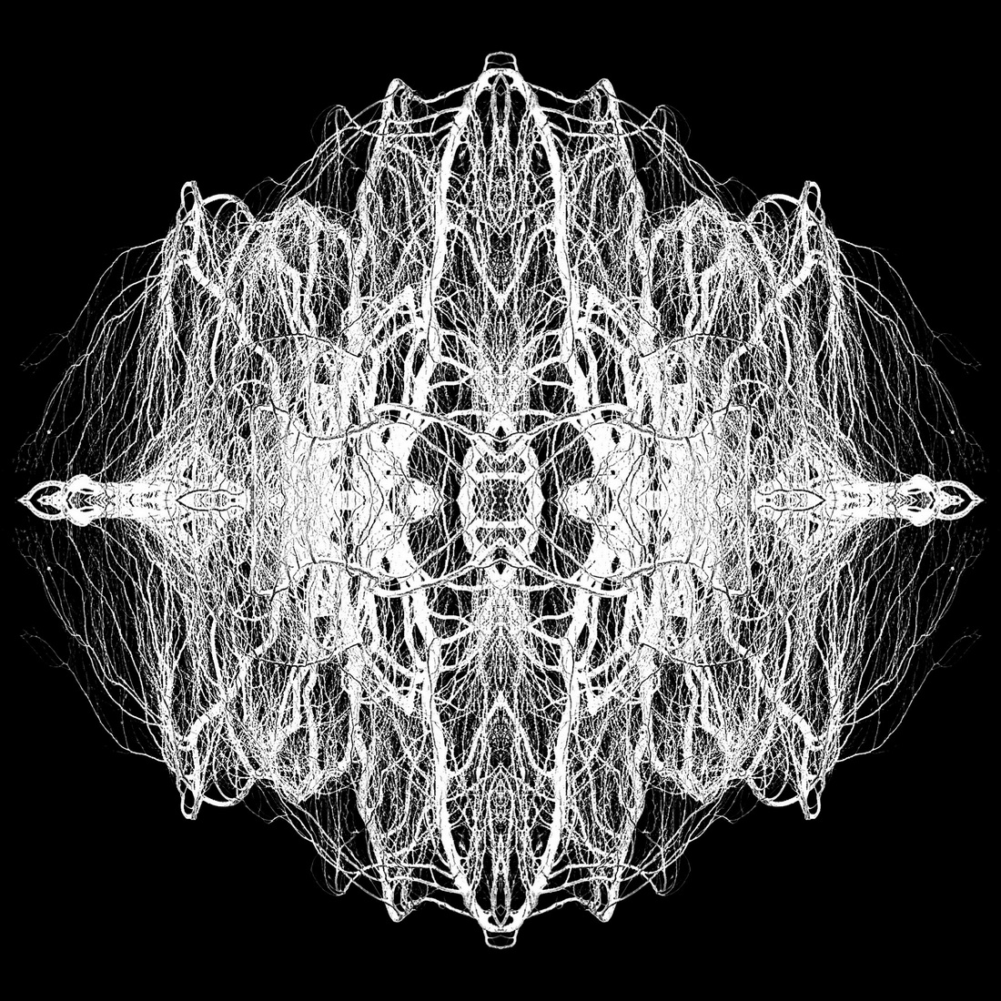 Pareidolia: Winter Abstractions
