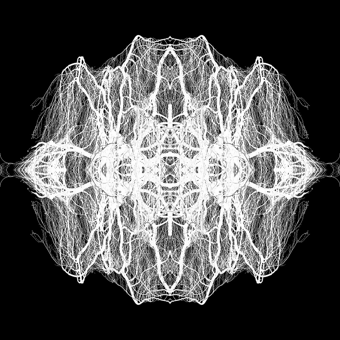 Pareidolia: Winter Abstractions