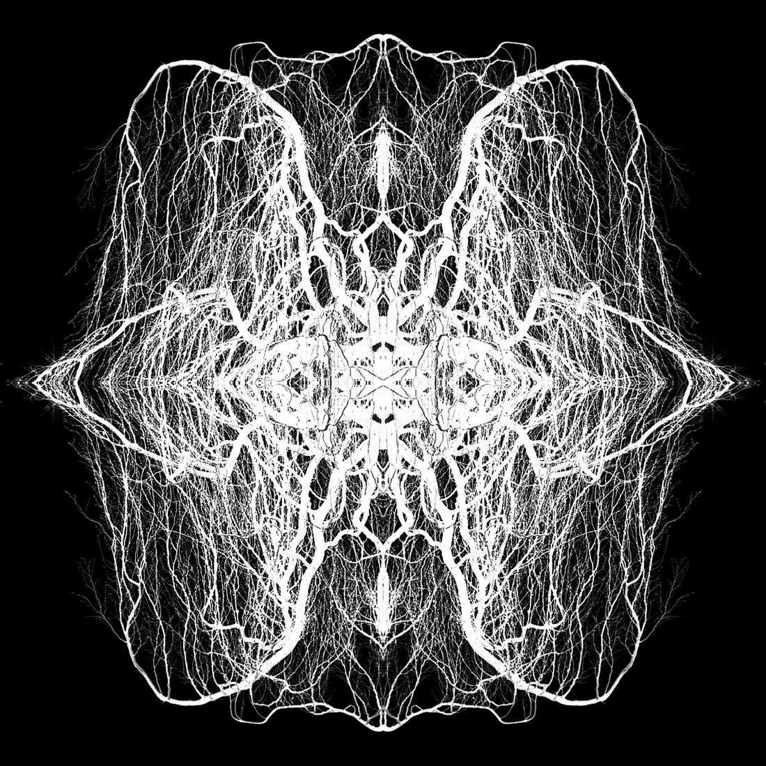 Pareidolia: Winter Abstractions