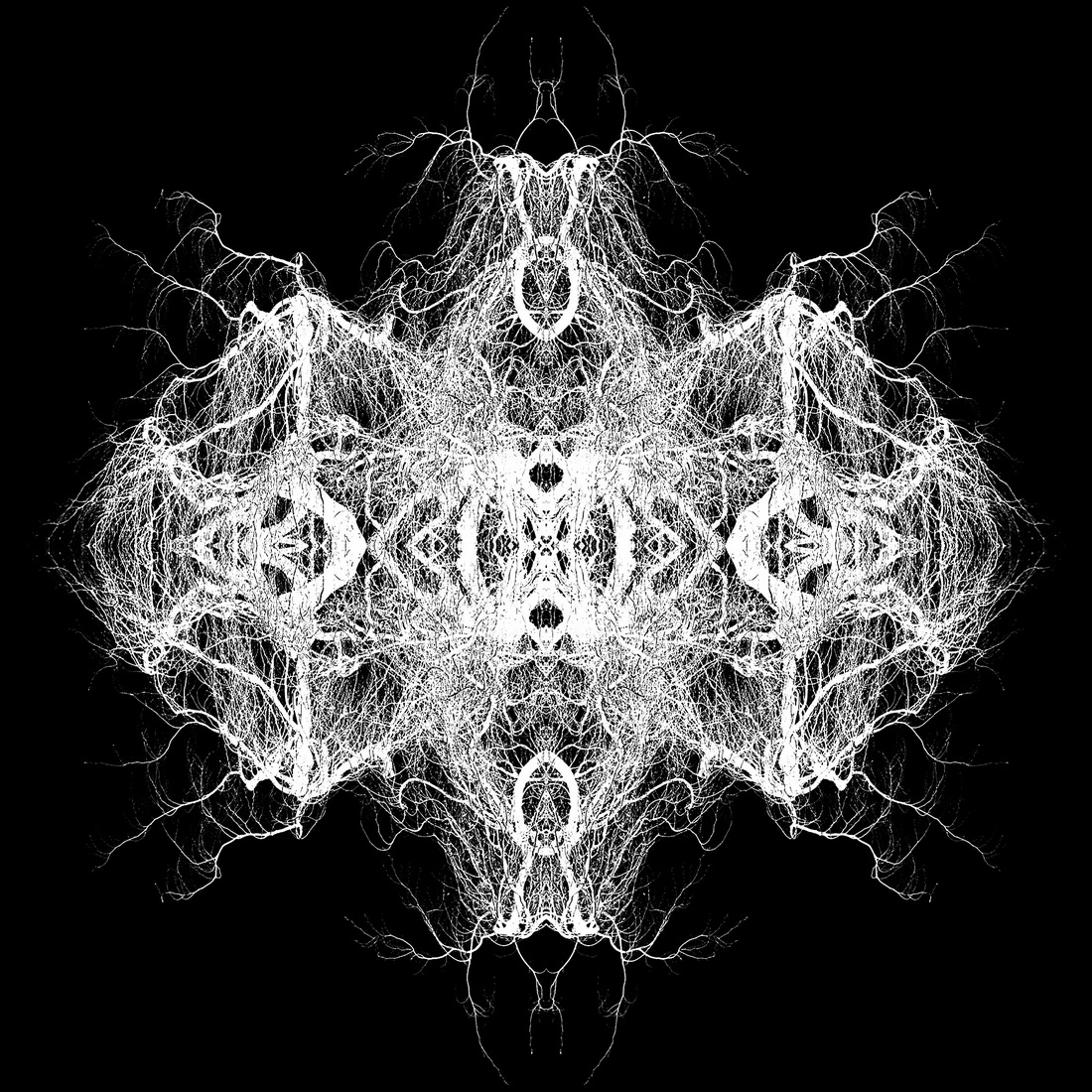 Pareidolia: Winter Abstractions