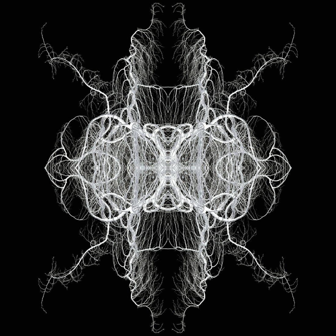 Pareidolia: Winter Abstractions
