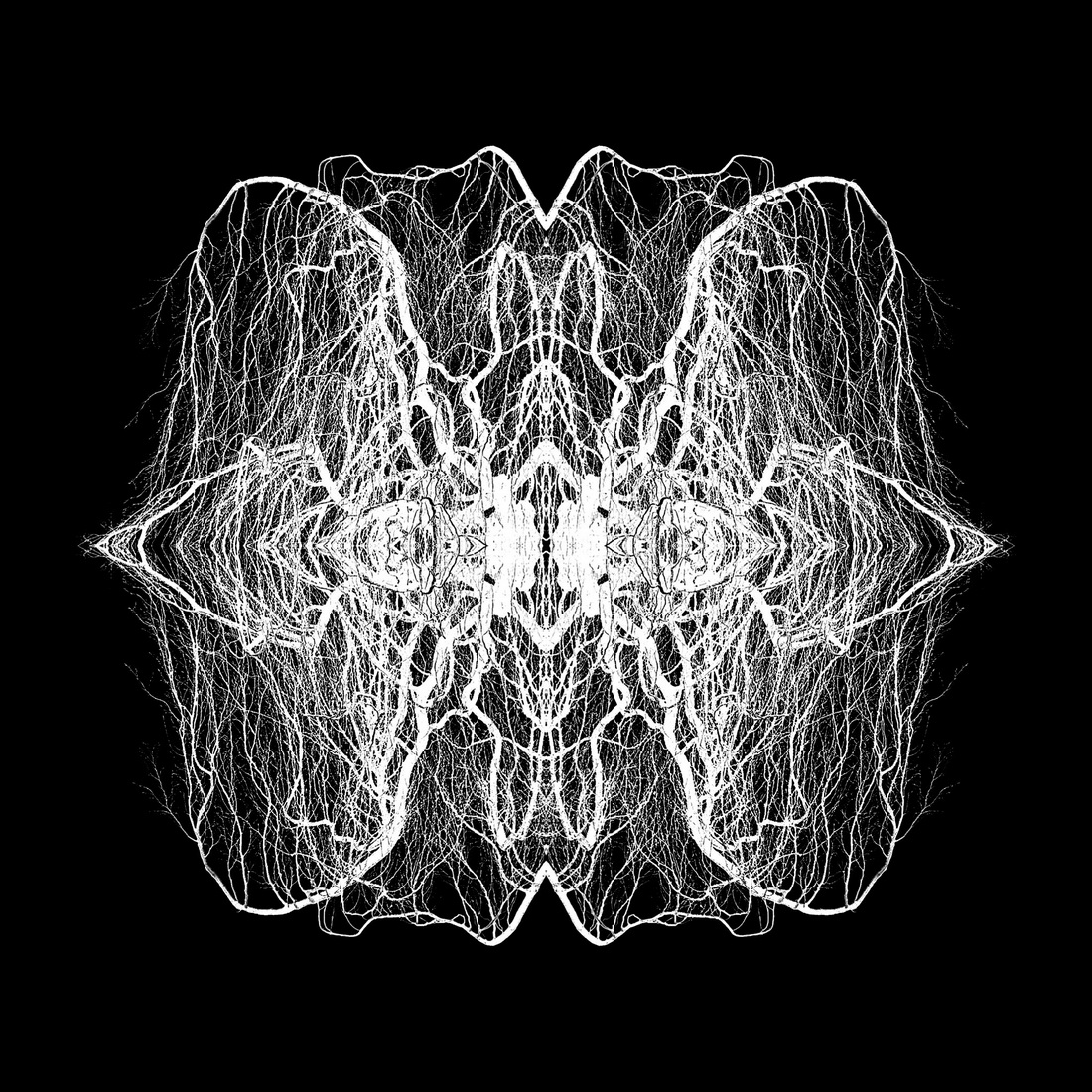 Pareidolia: Winter Abstractions