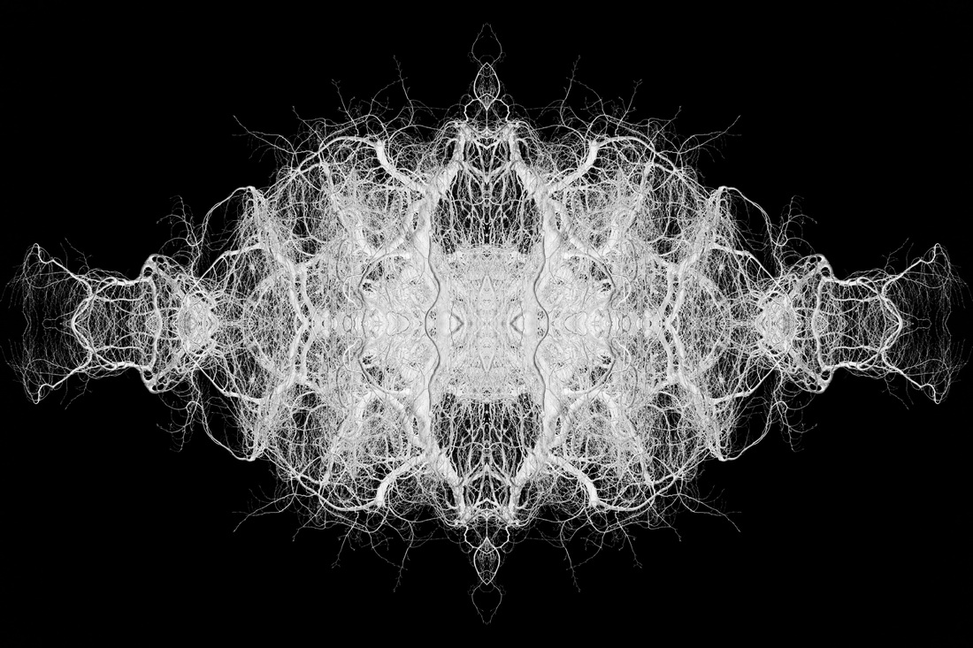 Pareidolia: Winter Abstractions
