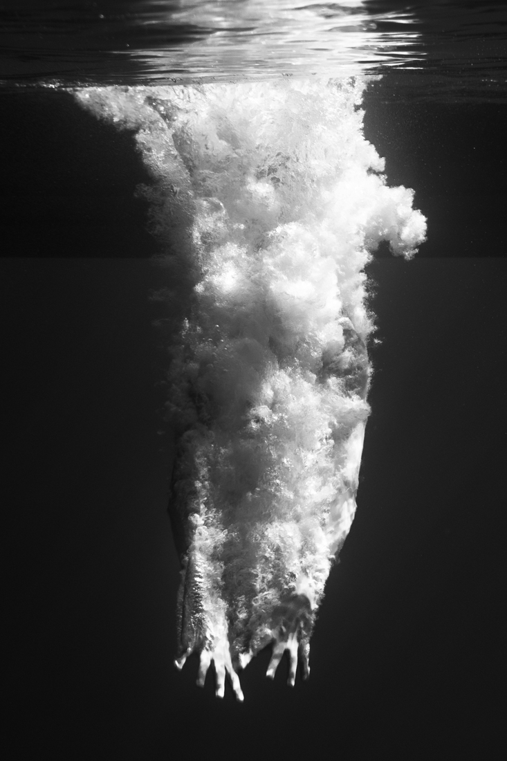 Black dive