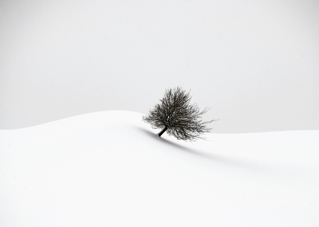 white winter