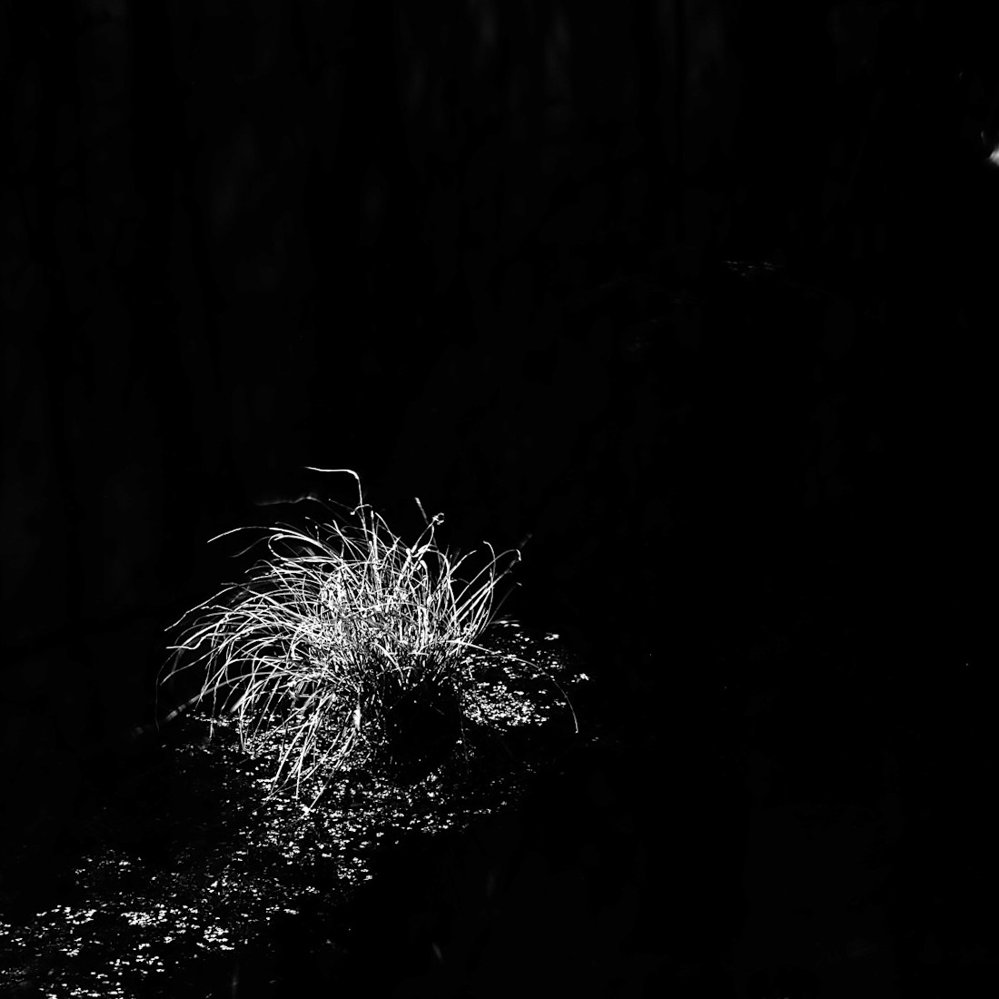 Water escapes