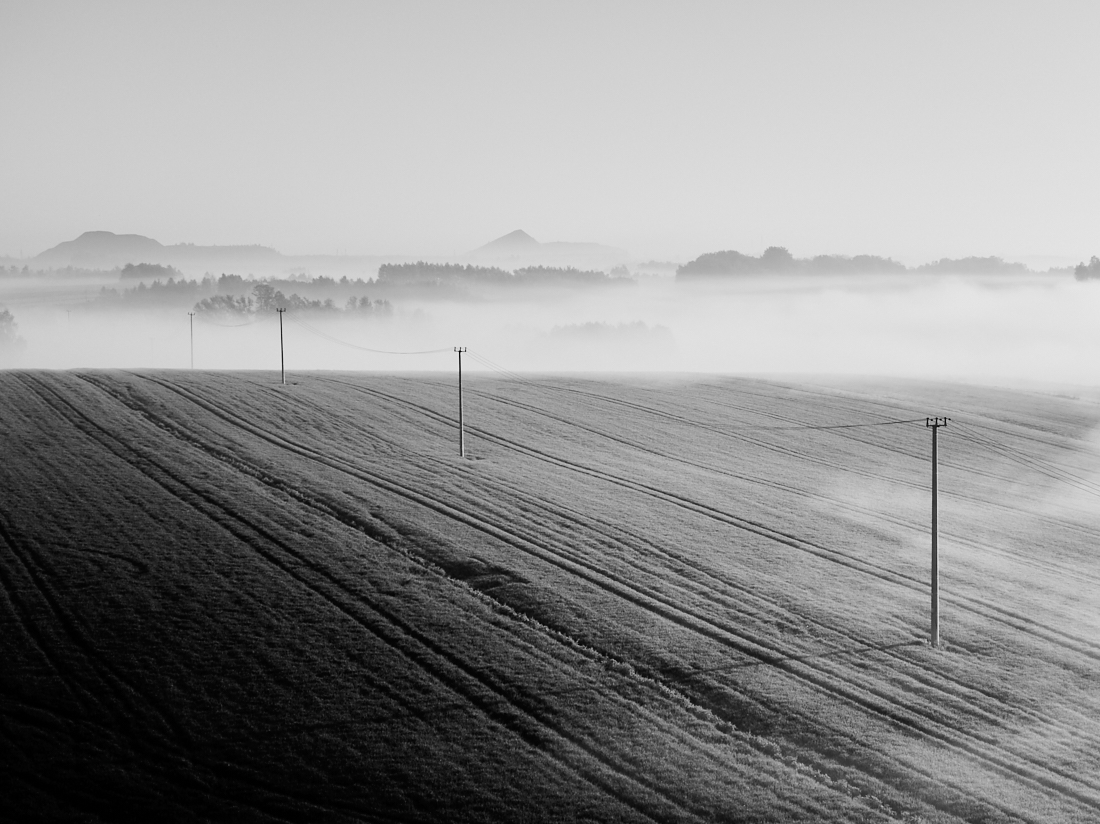 Foggy morning