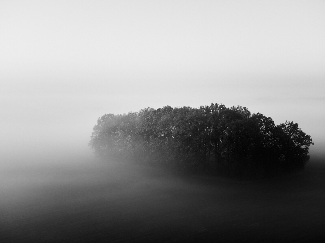 Foggy morning