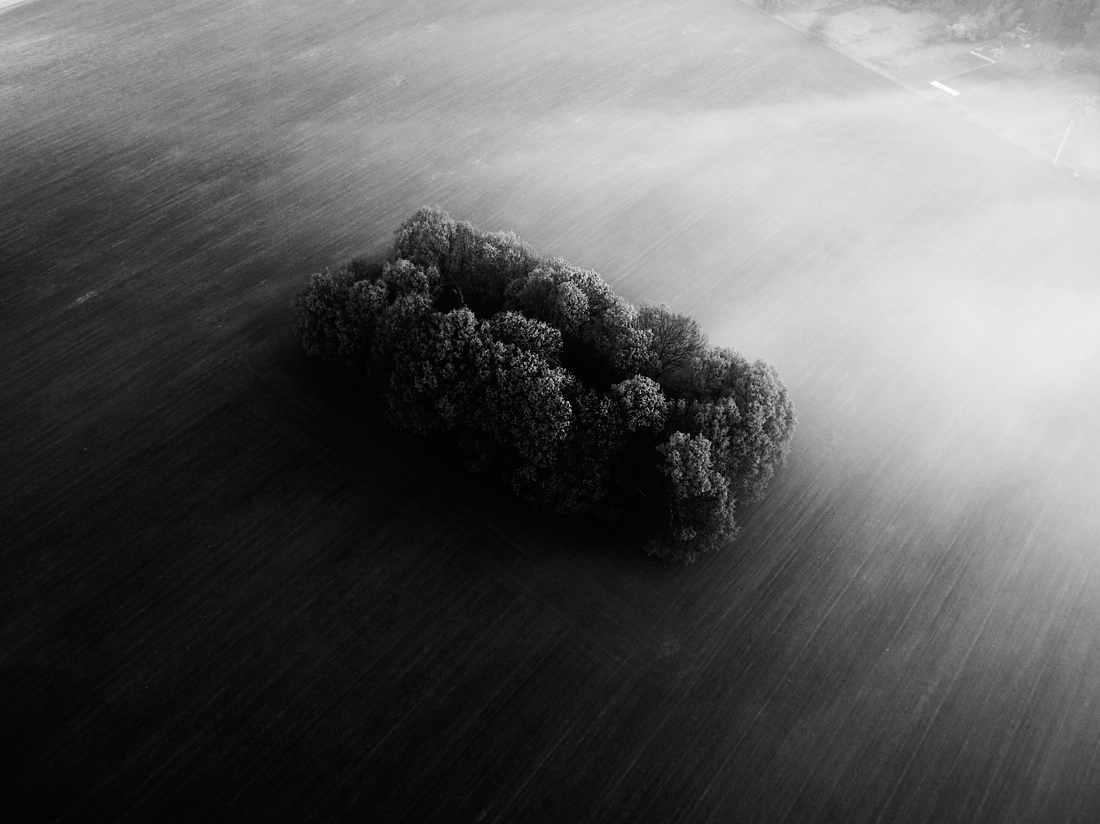 Foggy morning