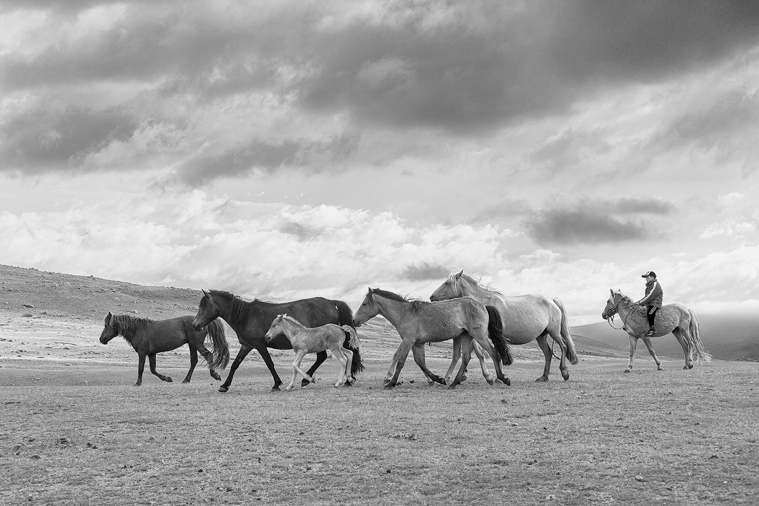 Five Years Apart ; A Boy's Grow Up in Western Mongolia 