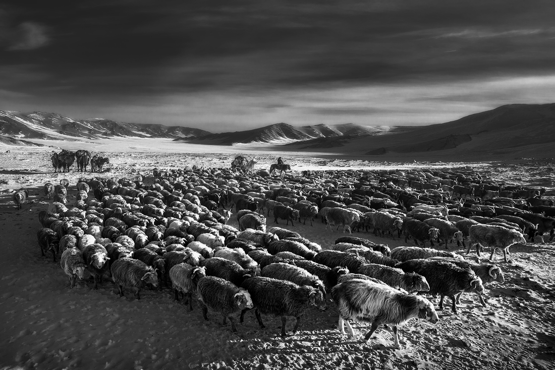 Five Years Apart ; A Boy's Grow Up in Western Mongolia 