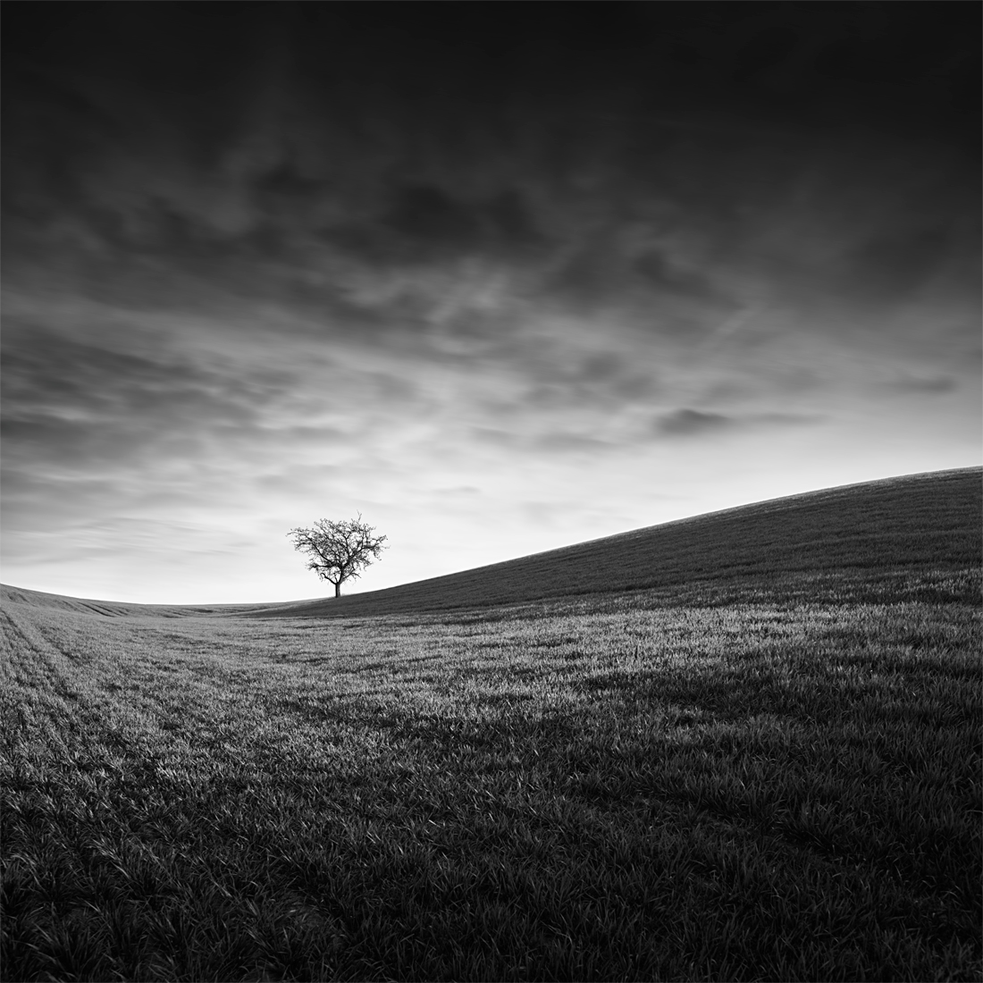 Under the sky