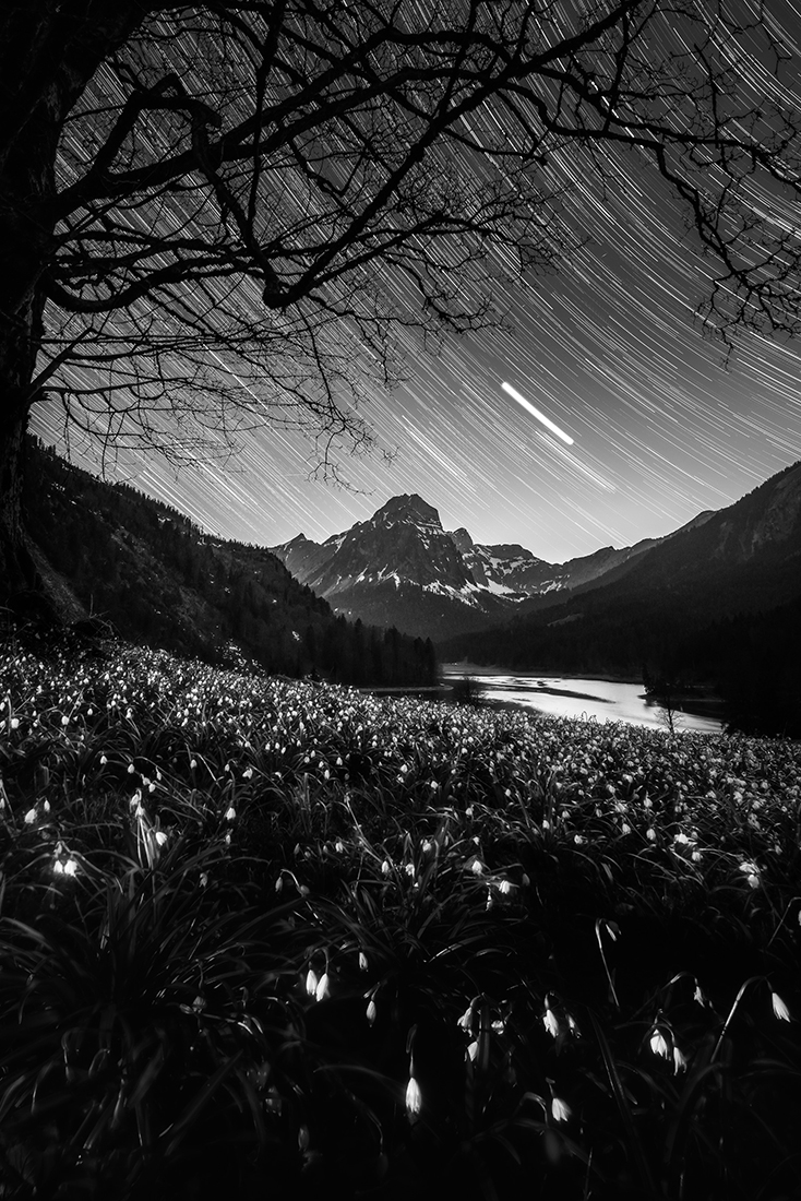 Star trails above Obersee