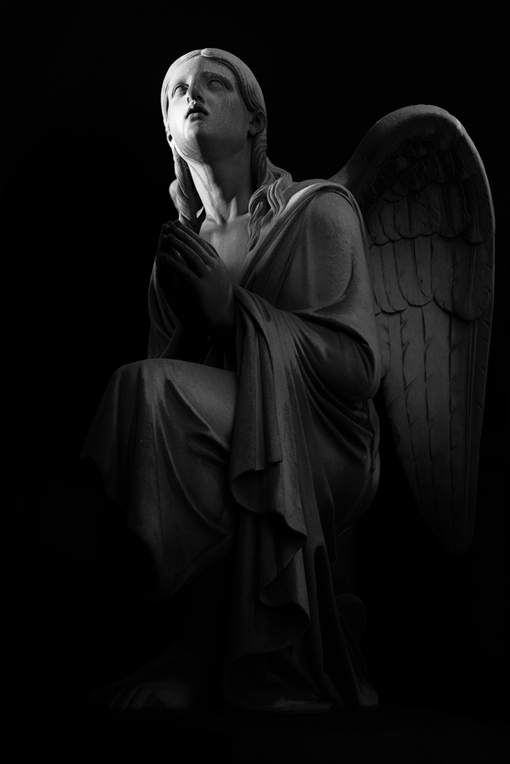 Fallen Angels