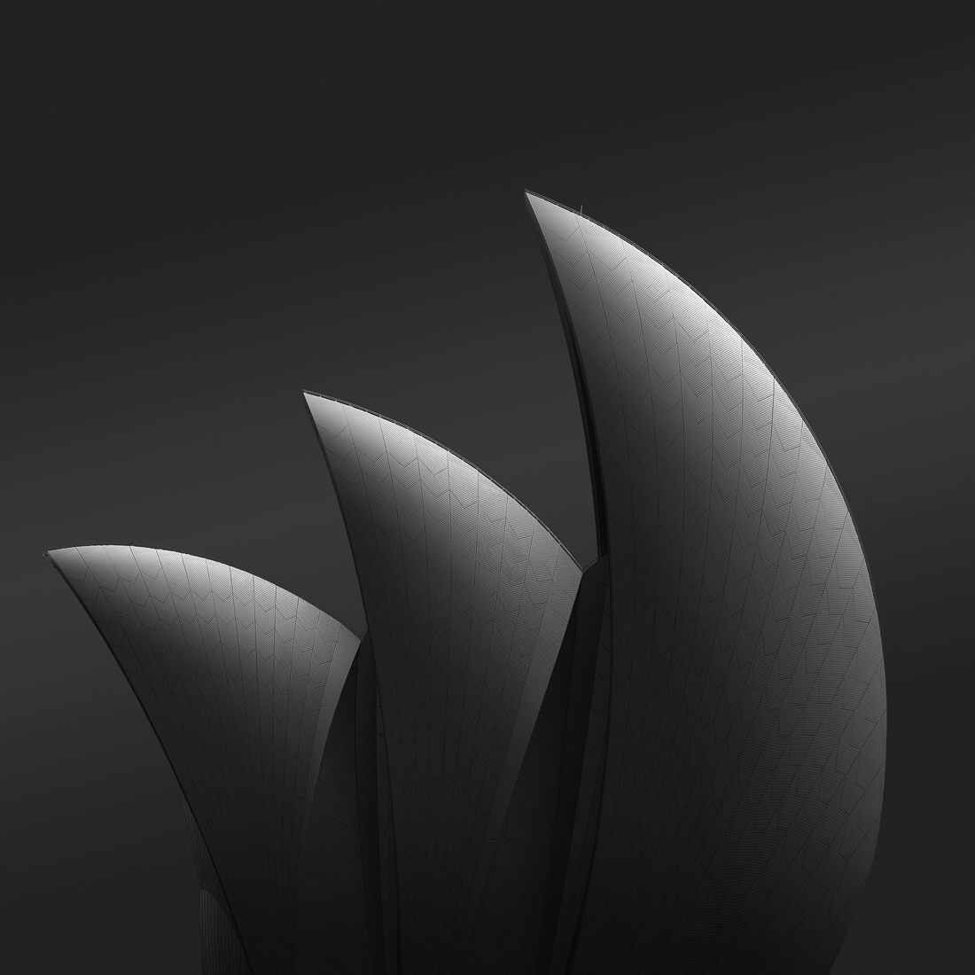 Opera House abstract